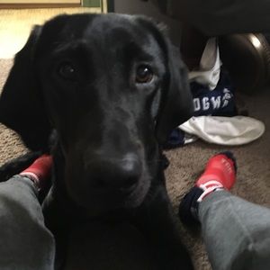 Meet your Posher, Molly